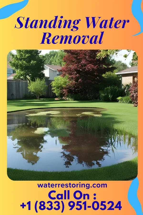 Standing Water Removal in Madelia, MN